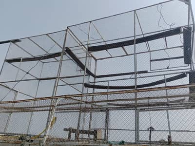 pigeon cage