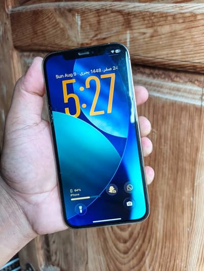 iPhone 12 Pro 256 GB NON PTA FU