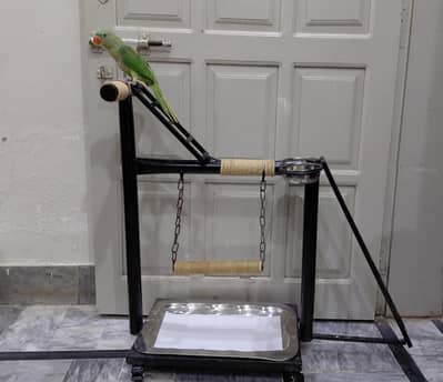 Stand for handtamed parrots and other big birds (customisable)
