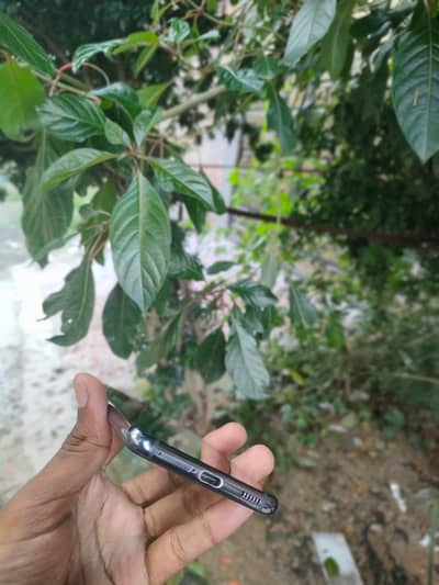 Samsung Mobile S21