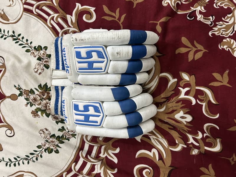 Cricket kit 8