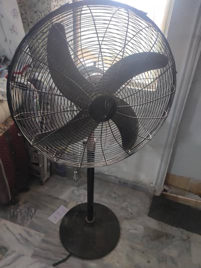 Wahid Fan Pedestal Type