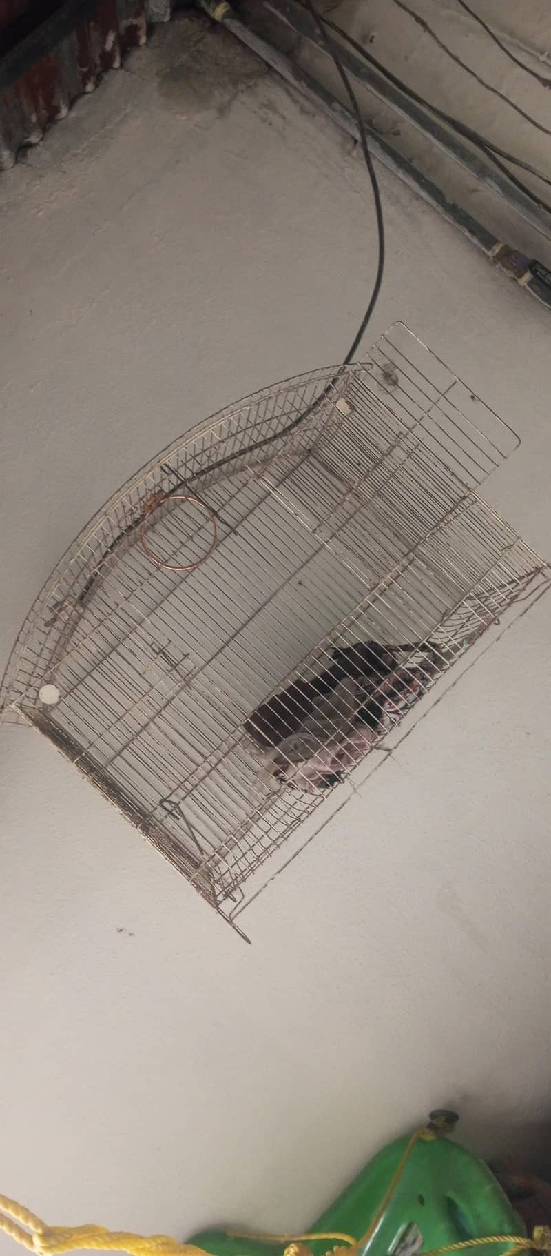 2 potion cage 0
