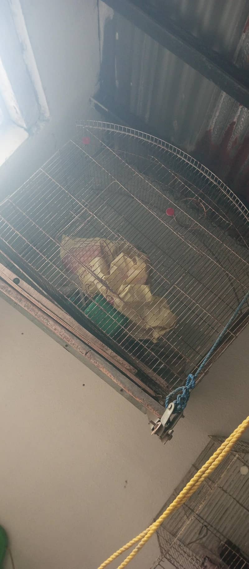 2 potion cage 1