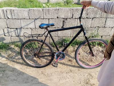 Phoenix Cycle