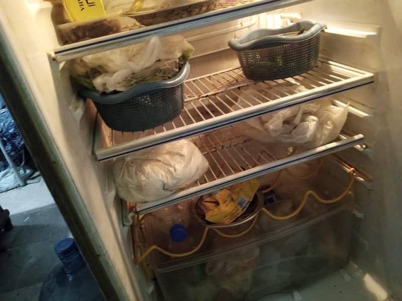 Fridge 1