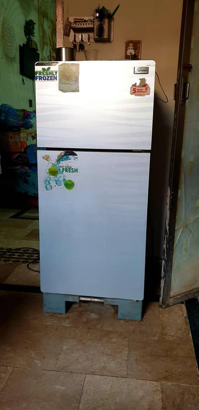 Signature fridge medium size