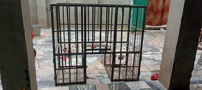jangla for sale 03232927974