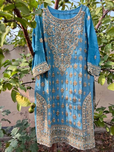 pure raw silk nad nakshi dabki original hand made both