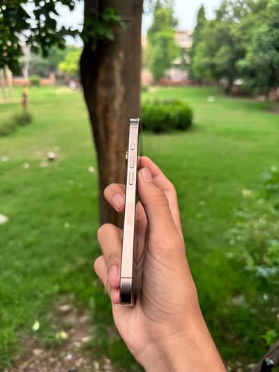 Apple iPhone 16 Pro Max non pta jv