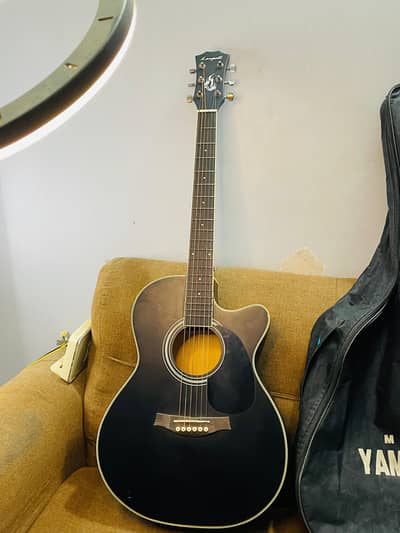 Acoustic Professional Guitar | Smooth Actions