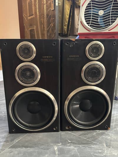 onyko 10'inch speaker