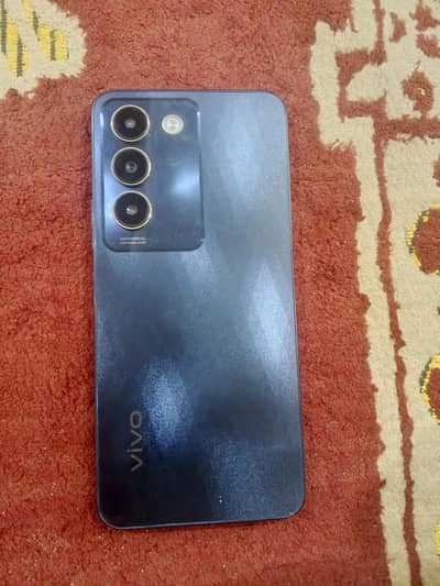 Vivo y100 8+8/256
