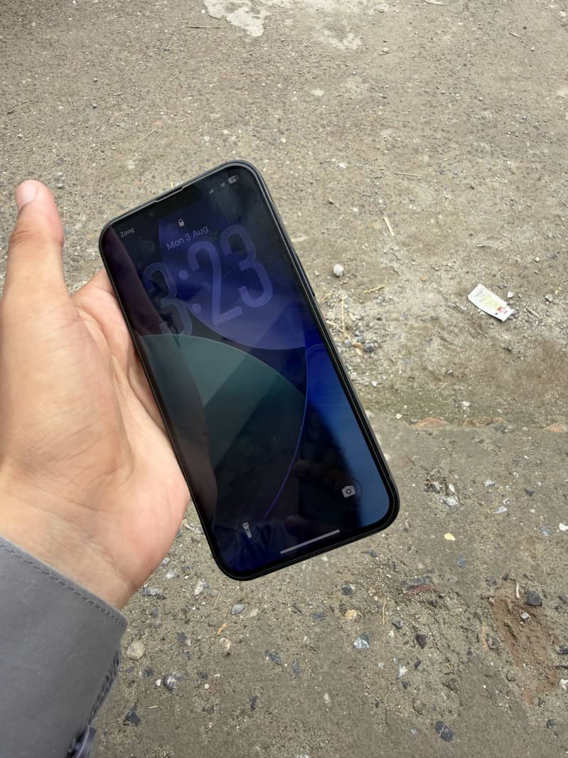 Apple iPhone 13 0