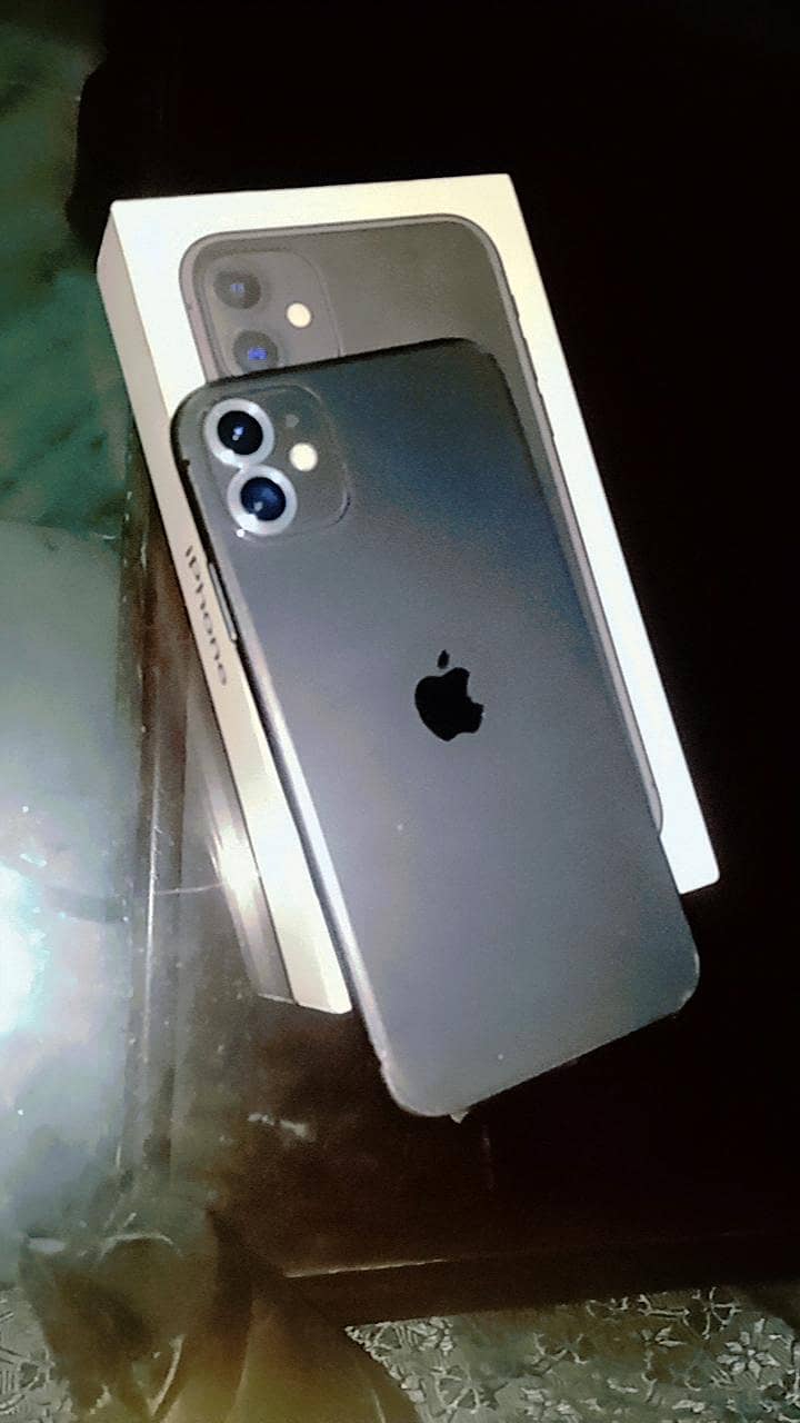 Apple iPhone 11 0