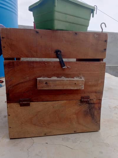 ringnek bleeding pure kikr box