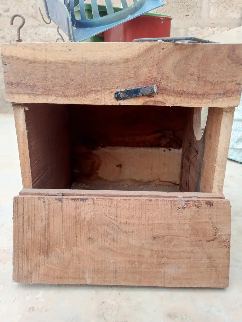 ringnek bleeding pure kikr box — photo 2