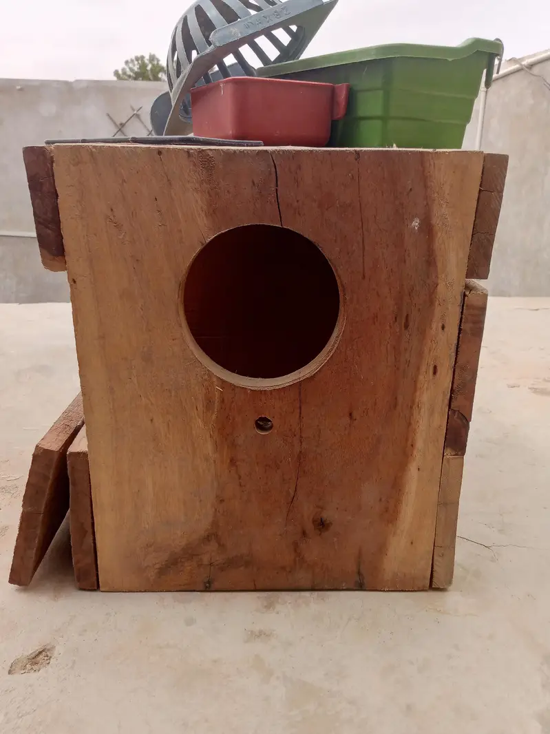 ringnek bleeding pure kikr box — photo 3