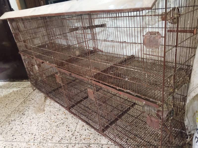 Cages 1