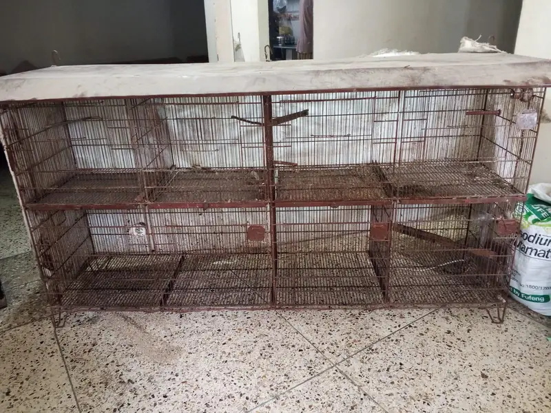 Cages — photo 3
