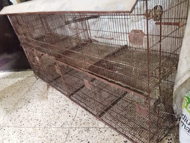 Cages — photo 5