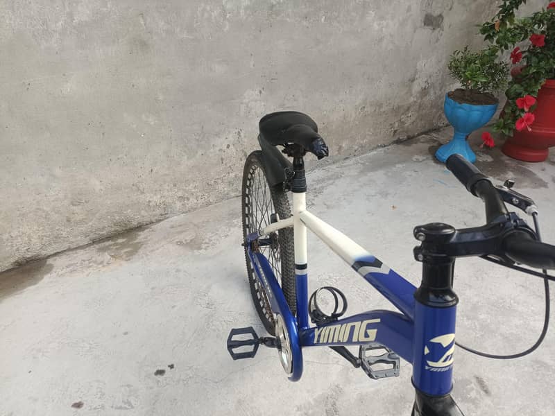 YIMING bicycle 2