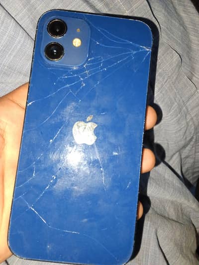 Apple iPhone 12