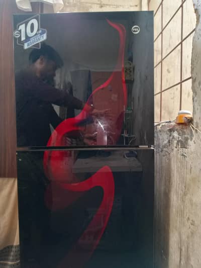 PEL Refrigerator for Sale PEL Refrigerator – Excellent Condition