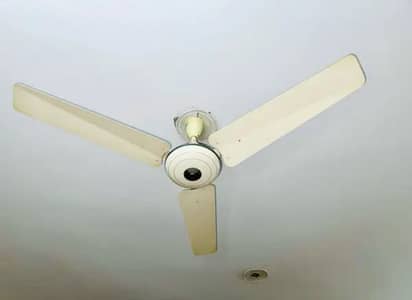 Ceiling Fan For Sale in Nowshera.