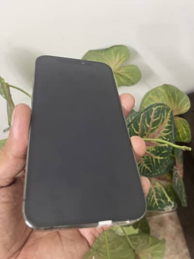 I-Phone 12 PRO