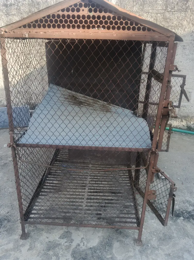 Iron Pinjra For Sell — photo 2