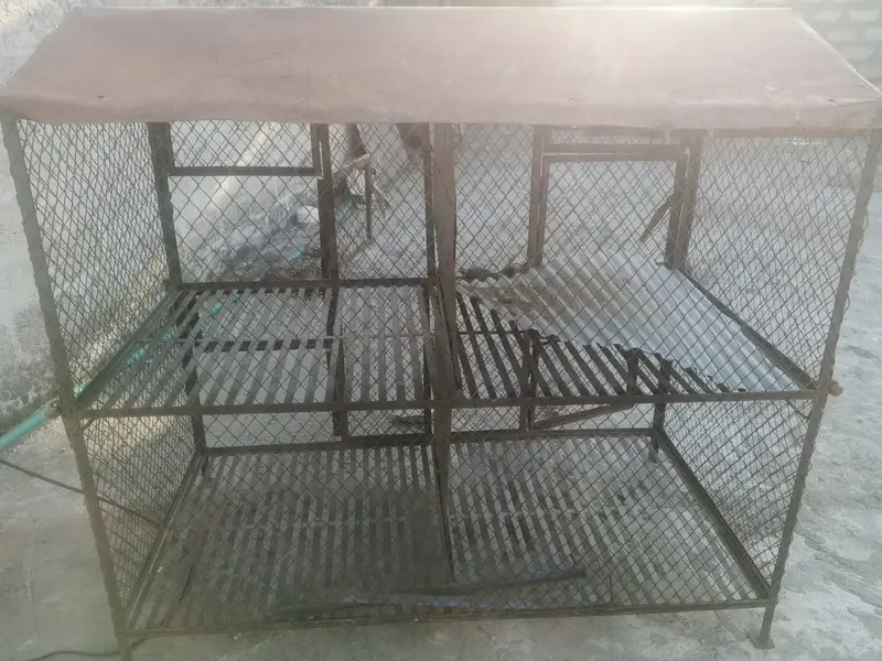 Iron Pinjra For Sell — photo 5