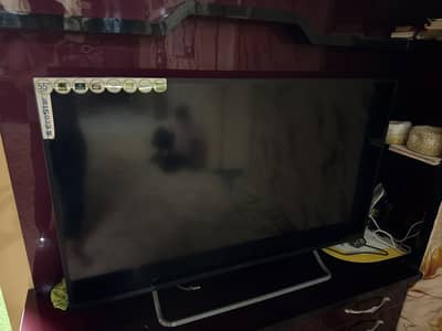 eco star led 55inch