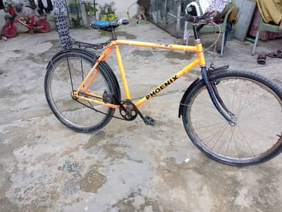 phoenix cycle