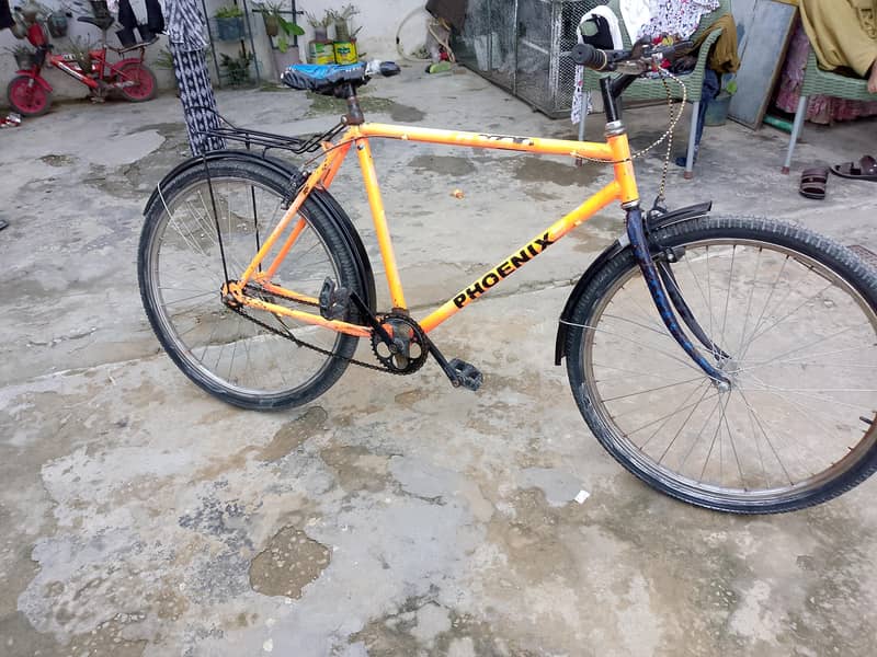 phoenix cycle 0