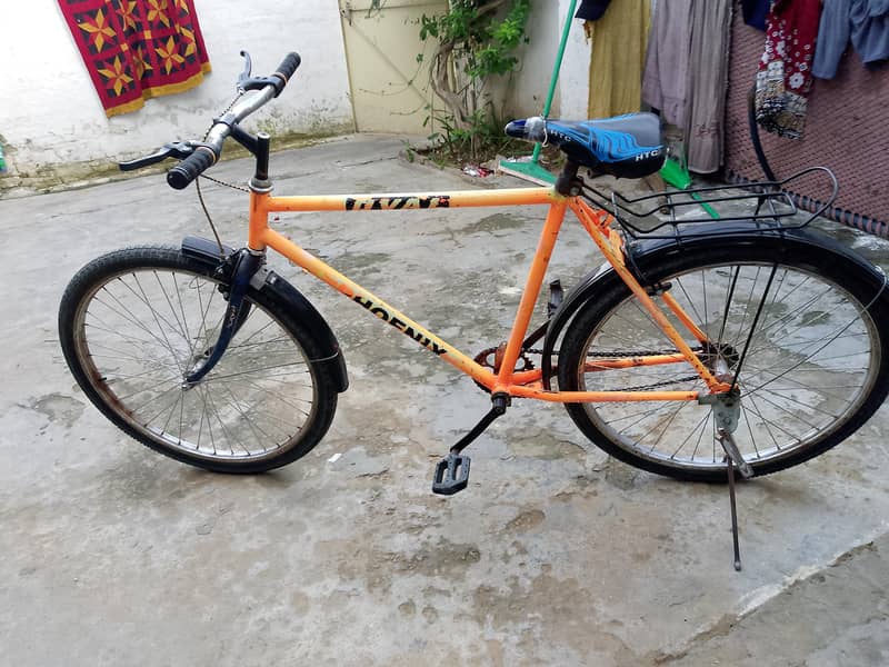 phoenix cycle 1