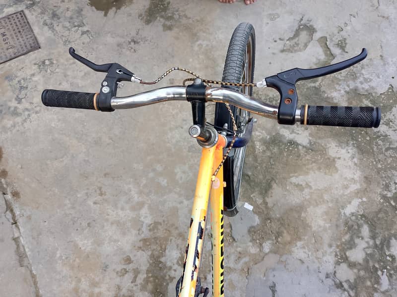phoenix cycle 3