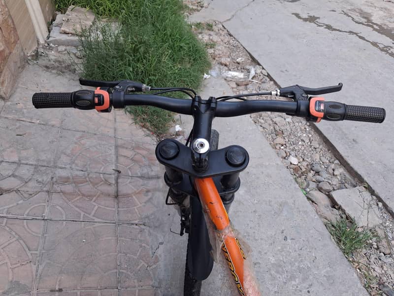 imported bicycle 1