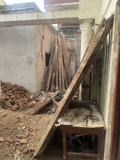 deodar wood logs