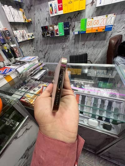 Apple iPhone 13 Pro Max