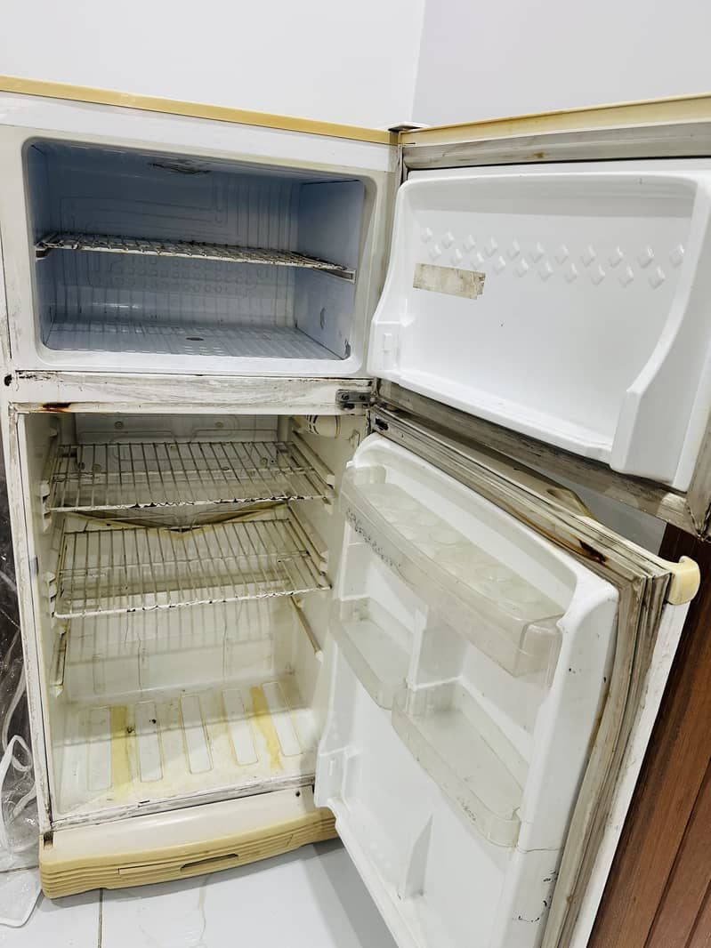 Medium Size Freezer 1