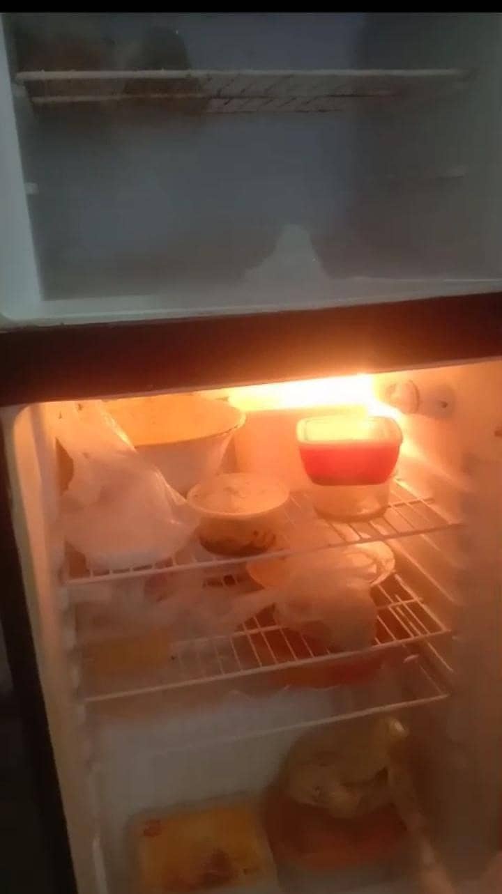 orient refrigerator medium 2