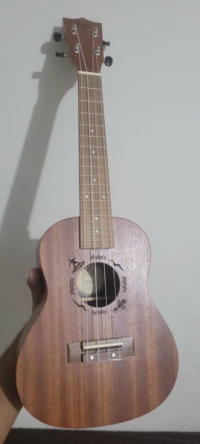 Flight NUC310 Concert Ukulele | Brand New