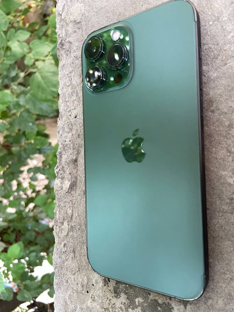 Apple iPhone 13 Pro Max 1