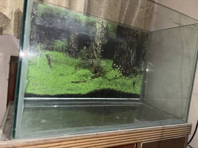 3 feet aquarium for sale