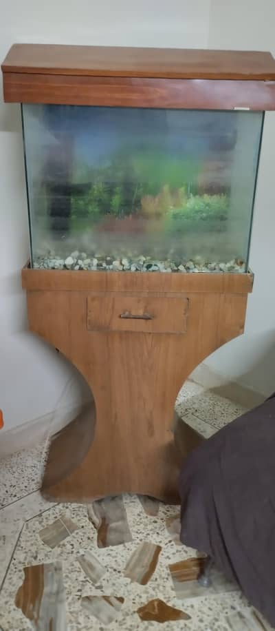 Fish Aquarium complete set