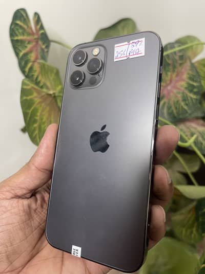IPhone 12 PRO Approved