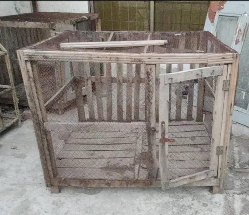 Hen cages 1