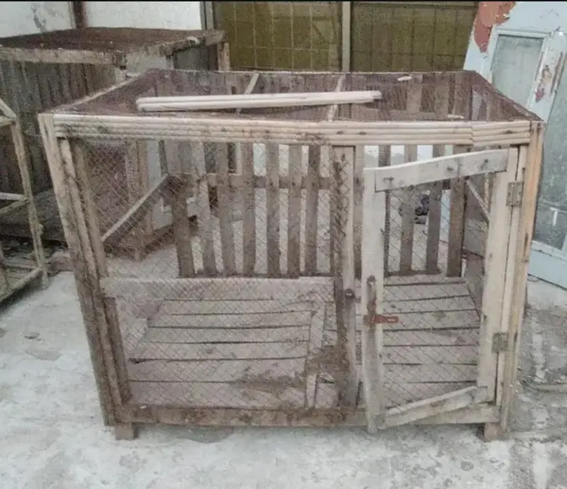Hen cages — photo 2