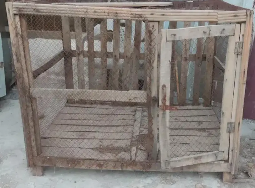Hen cages — photo 3